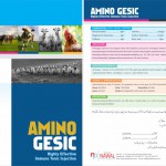 AMINOJESIC