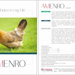 Amenro
