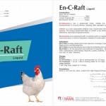 ENC RAFT