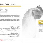 WAN COX